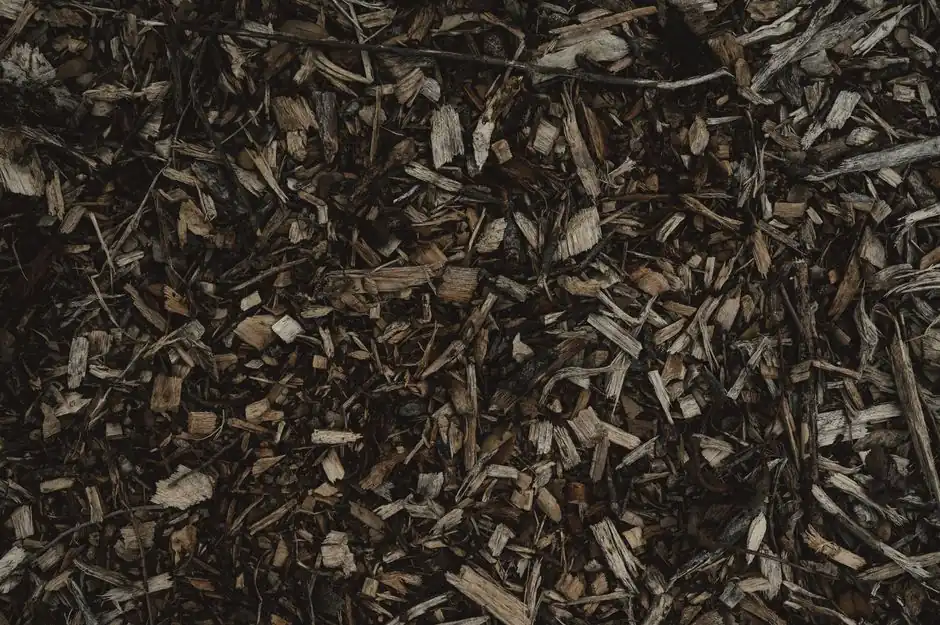 What to know about decomposition cleanup in Miami homes